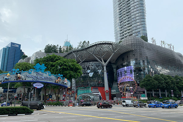 ION ORCHARD