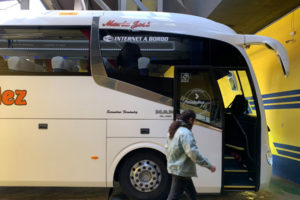 Fernandez Bus