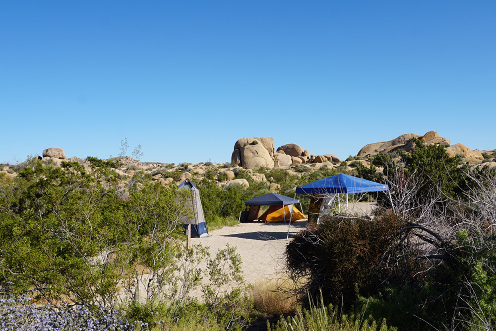 Jumbo Rocks Campground