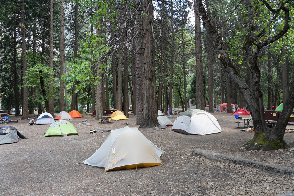 キャンプ4