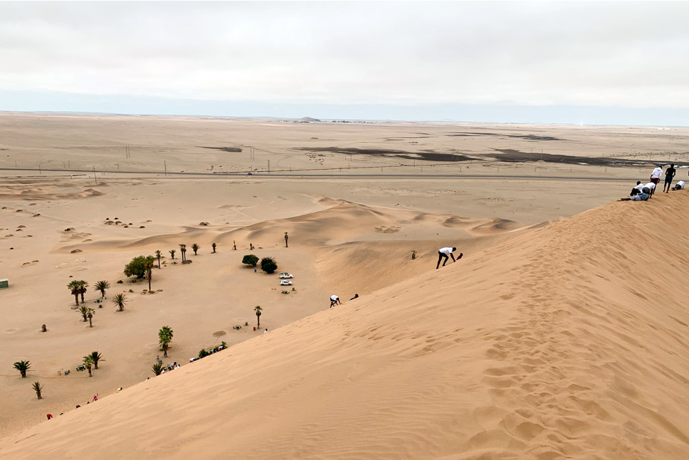 砂丘からの眺め